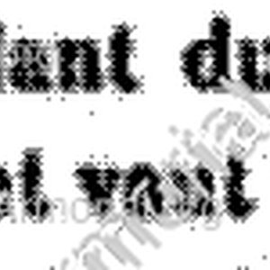 TIZON_Bourbonnais_France (i)