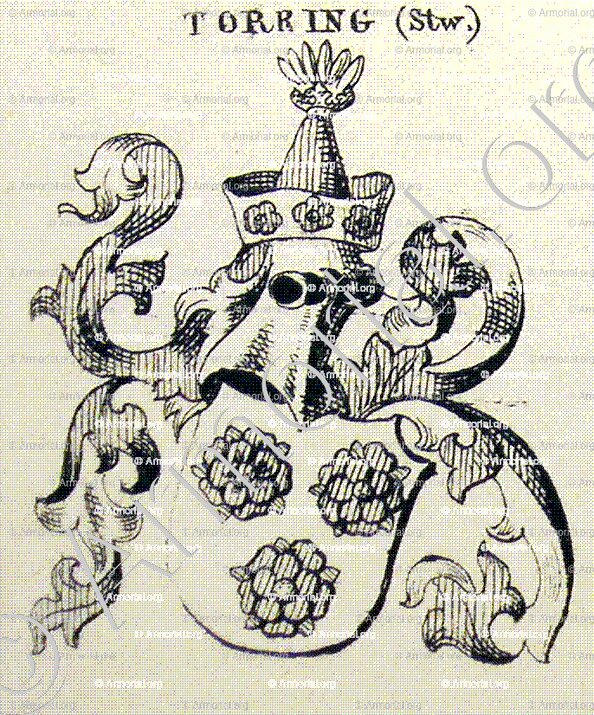 TORRING_Bayerischer Adel. _Heiliges Römisches Reich