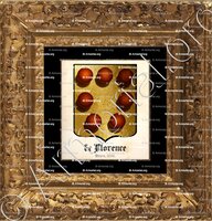 cadre-ancien-or-de FLORENCE_Béarn, 1696._France