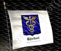 drapeau-THIEBAUT_Lorraine, 1711._Duché de Lorraine et de Bar. ()