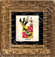 cadre-ancien-or-DE RAPPARD_Armorial royal des Pays-Bas_Europe