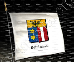 drapeau-SALVI (Ctes de )_Vicence_Italie (3)