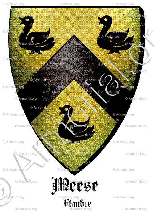 MEESE_Flandre_France (i)