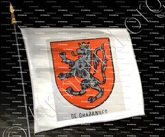 drapeau-de CHABANNES_Bourbonnais_ France (2)