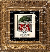 cadre-ancien-or-de FLORENCE_Béarn, 1697._France