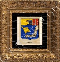 cadre-ancien-or-ARBOD_Noblesse de l'Empire sous Napoléon Ier_France (1)