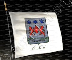 drapeau-O'NEILL_Noblesse de France._France