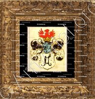 cadre-ancien-or-von TCERSNE_Familie von Zerssen (Zersen, Cersne, Tcersne, Zertschen). Siebmacher Wappenbuch._Heiliges Römisches Reich