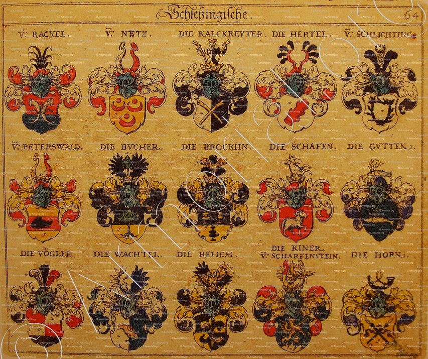 HORN_- Alter Siebmachers Wappenbuch, 1605-1806._Deutschland