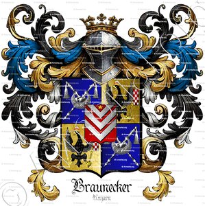 BRAUNECKER