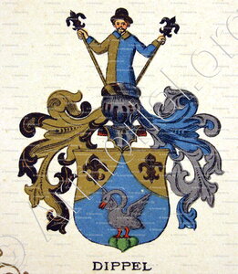 DIPPEL