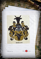 velin-d-Arches-DOBLER_Wappenbuch der Stadt Basel . B.Meyer Knaus 1880_Schweiz