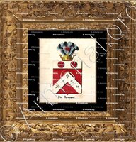 cadre-ancien-or-DE RESPANI_Armorial royal des Pays-Bas_Europe