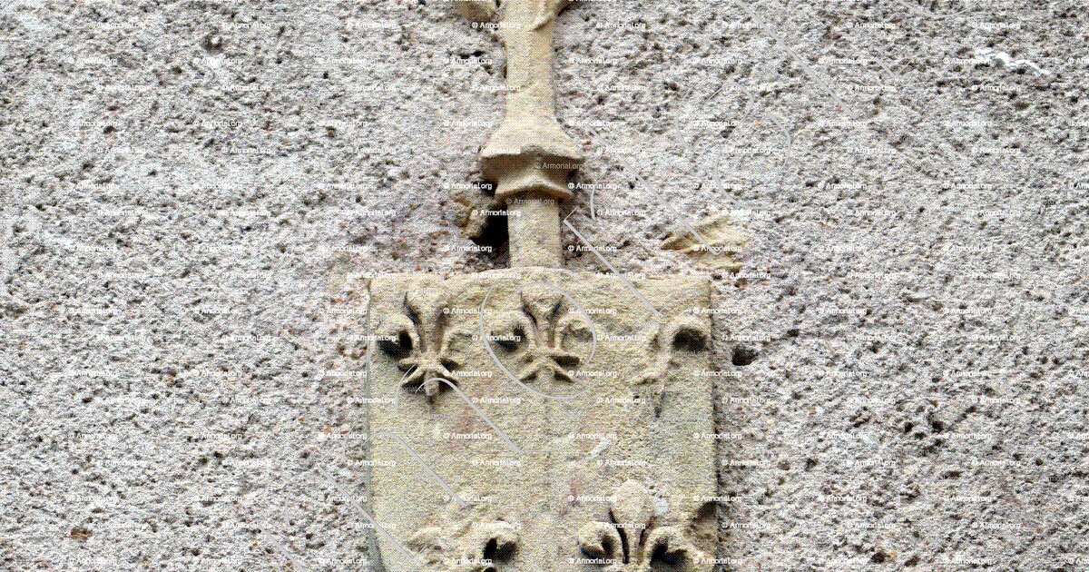 Sans Nom Ni Blason Résumé Par Chapitre