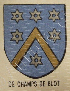 De CHAMPS de BLOT