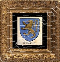 cadre-ancien-or-de CHANTELOT_Bourbonnais_France (2)