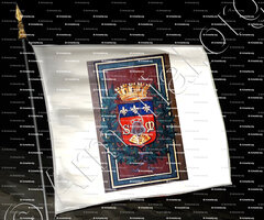 drapeau-LIMOGES_Limoges_France