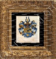 cadre-ancien-or-SIEBOLD - Wapenboek van den Nederlandschen Adel. (J.B. Rietstap)._Nederland..