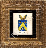 cadre-ancien-or-DE ROBAULX DE SOUMOY_Armorial royal des Pays-Bas_Europe ()