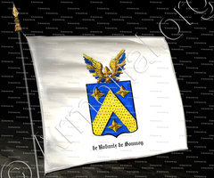 drapeau-DE ROBAULX DE SOUMOY_Armorial royal des Pays-Bas_Europe ()