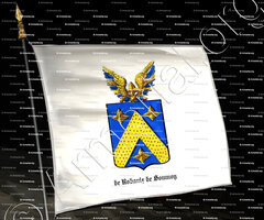 drapeau-DE ROBAULX DE SOUMOY_Armorial royal des Pays-Bas_Europe ()