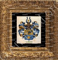 cadre-ancien-or-SIEBOLD_Wapenboek van den Nederlandschen Adel. (J.B. Rietstap)._Nederland
