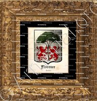 cadre-ancien-or-FLORENCE_Landes._France