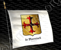 drapeau-de VLAEMINCK_Vlaanderen_België (2)