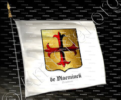 drapeau-de VLAEMINCK_Vlaanderen_België (2)