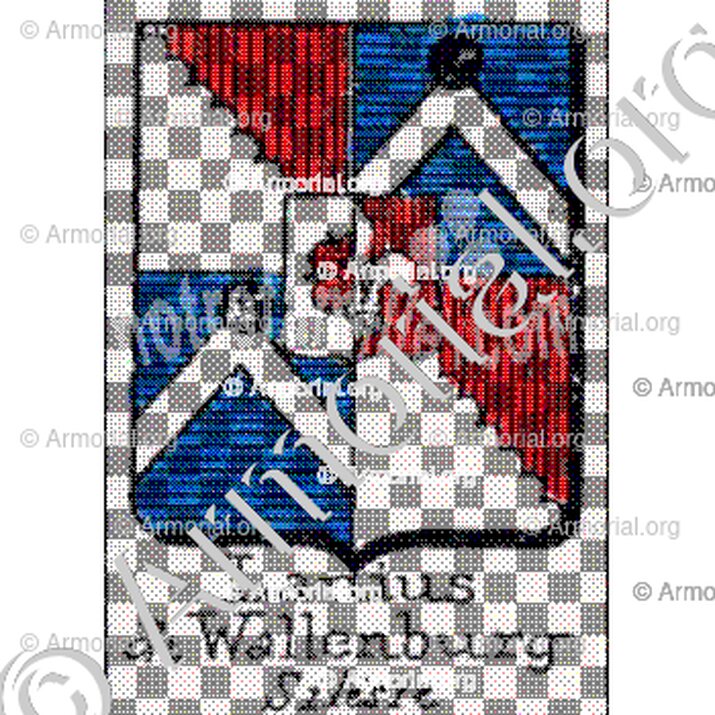 Lanius de Wallenburg__
