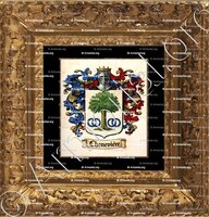 cadre-ancien-or-CHENEVIÈRE_Lyonnais_France (1)