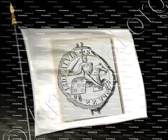 drapeau-Du NOYER_Eglise Collégiale de Saint Martin de Tours_France 1