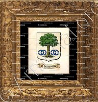 cadre-ancien-or-CHENEVIÈRE_Lyonnais_France (2)