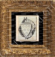 cadre-ancien-or-Du NOYER_Eglise Collégiale de Saint Martin de Tours_France 2