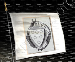 drapeau-Du NOYER_Eglise Collégiale de Saint Martin de Tours_France 2