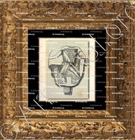 cadre-ancien-or-Du NOYER_Eglise Collégiale de Saint Martin de Tours_France 3