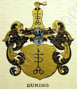 DÜRING