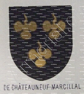 De CHATEAUNEUF MARCILLAL
