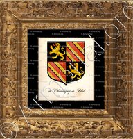 cadre-ancien-or-De  CHAUVIGNY de BLOT_Arm. du Bourbonnais 1696._France