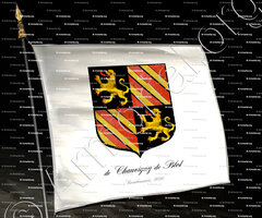 drapeau-De  CHAUVIGNY de BLOT_Arm. du Bourbonnais 1696._France