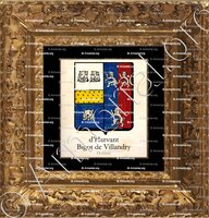 cadre-ancien-or-d'HARVANT BIGOT de VILLANDRY_Holland_Nederland (2)