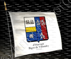 drapeau-d'HARVANT BIGOT de VILLANDRY_Holland_Nederland (2)