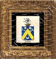 cadre-ancien-or-DE ROUILLE_Armorial royal des Pays-Bas_Europe