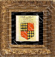 cadre-ancien-or-de SAINT MARTIN d'ALLIÉ_Genève, Duché de Savoie._Suisse, France