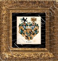 cadre-ancien-or-BEROLDINGEN_Cuneo, Ticino, Vienna, Württemberg. Italia, Svizzera, Austria, Germania