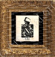 cadre-ancien-or-DE ROYE VAN WIEHEN_Armorial royal des Pays-Bas_Europe