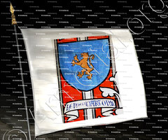 drapeau-de LA MARTONIE_Limoges_France 