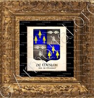 cadre-ancien-or-MESLON_Sgr. de Mondinet, Guyenne_France