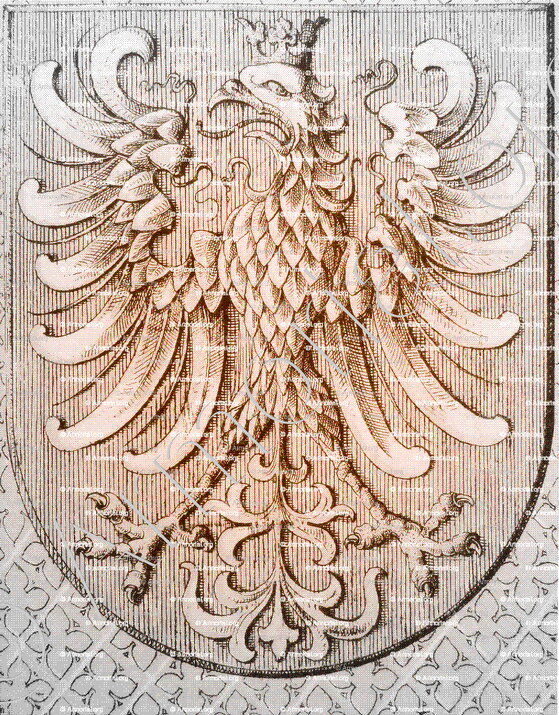 ZALVA_Navarra_España