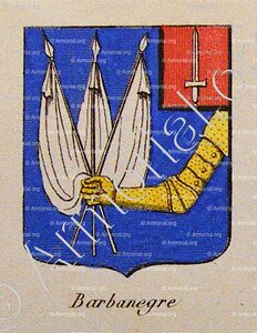 BARBANEGRE